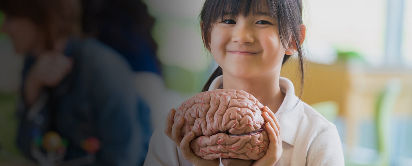 Anderson Therapy - Acquired Brain Injuries In Children, Hamilton ...