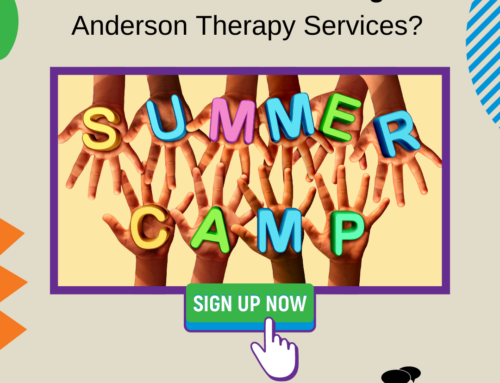 Interested in Volunteering with Anderson Therapy Services – Summer 2022?